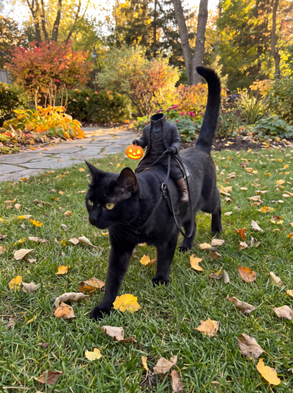 The Headless Horseman Rider™ Pet Costume
